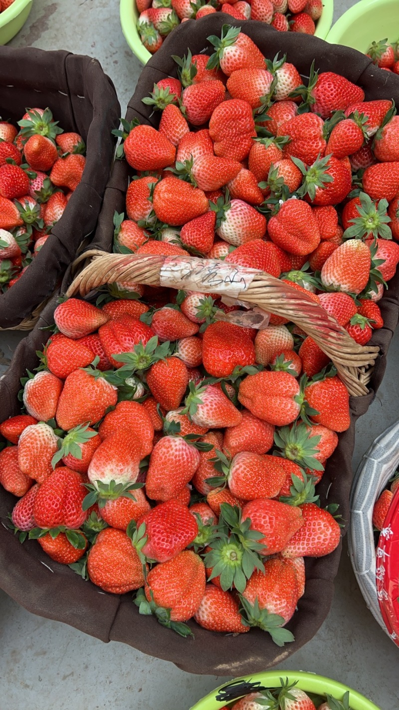草莓