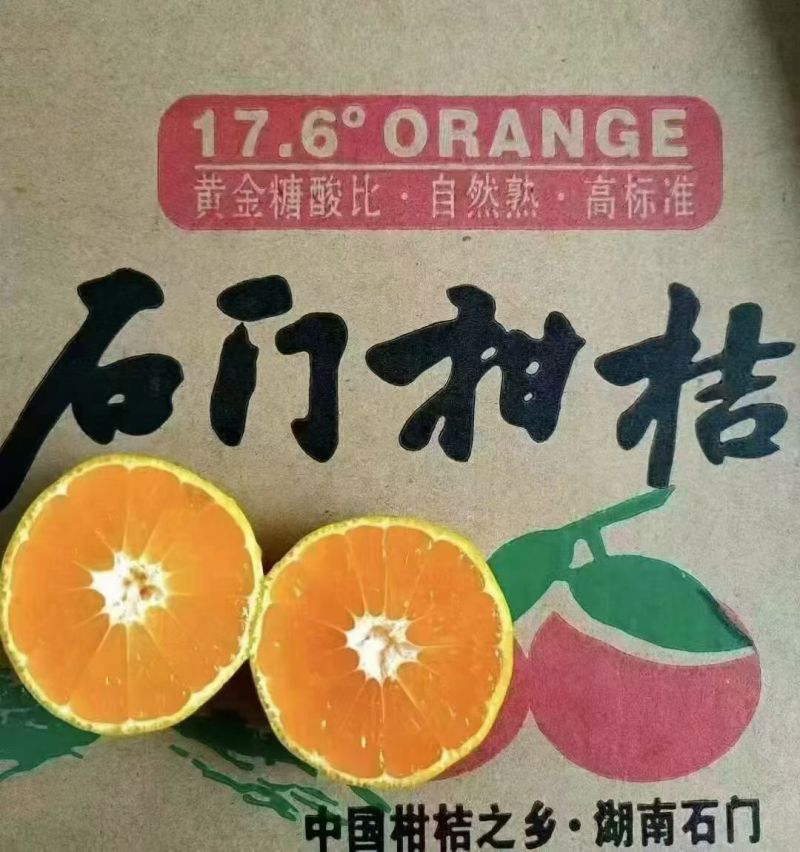湖南常德石门蜜桔