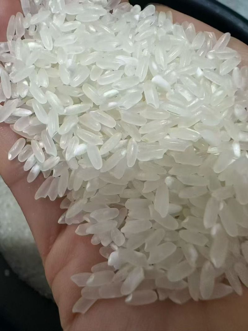 黑龙江省五常市原粮稻花香大米农户自产饼肥酵素生态种植
