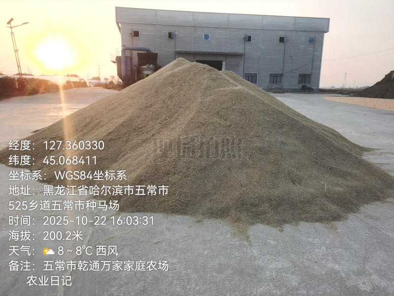 黑龙江省五常市原粮稻花香大米农户自产饼肥酵素生态种植