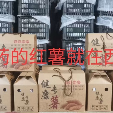 西长堤红薯
