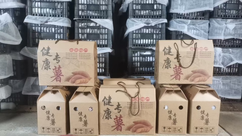 西长堤红薯