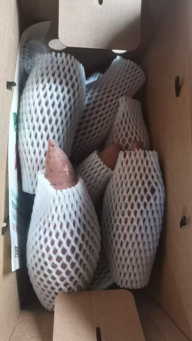 西长堤红薯
