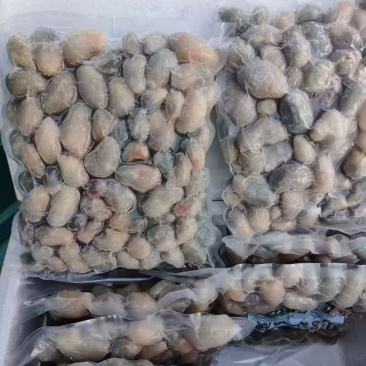 鸡腰厂家小号花腰白腰都有货