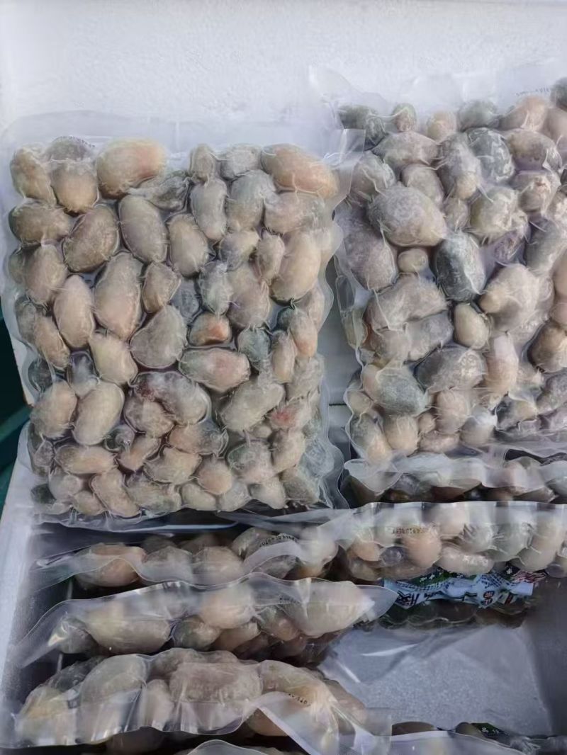 鸡腰厂家小号花腰白腰都有货