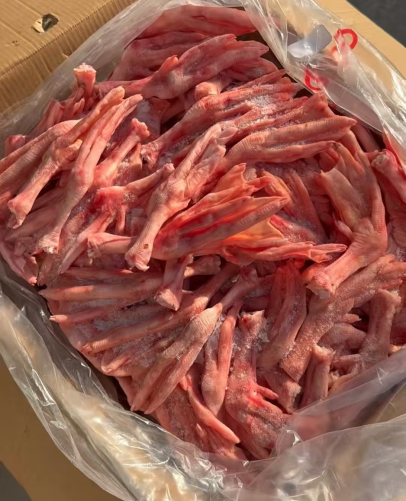 厂家特大中领鹅掌有货