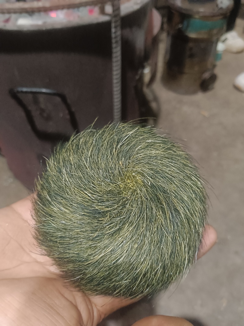 猪宝