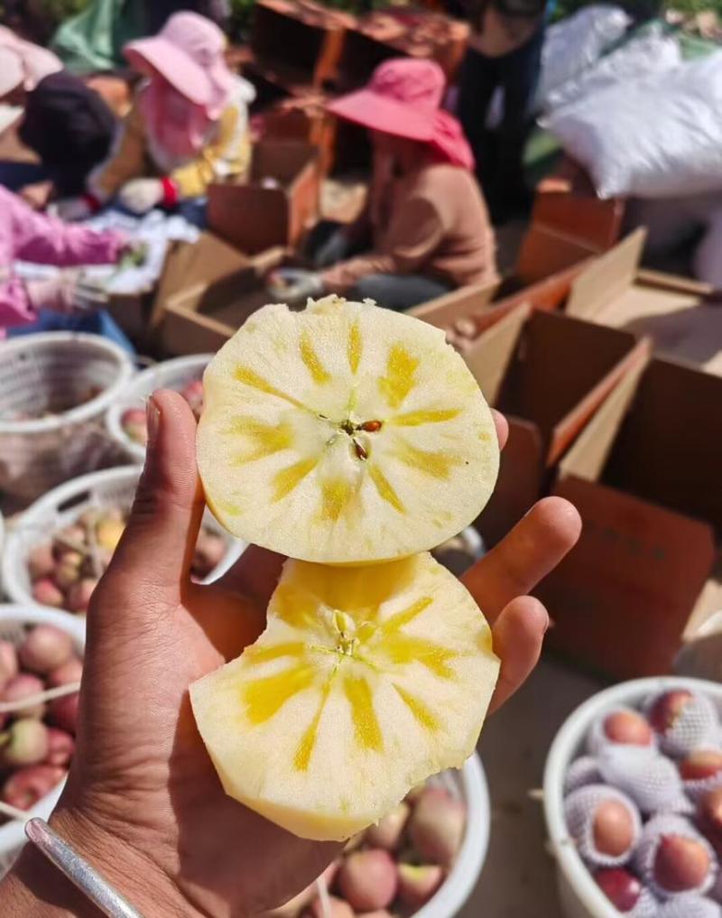 大凉山盐源糖心丑苹果