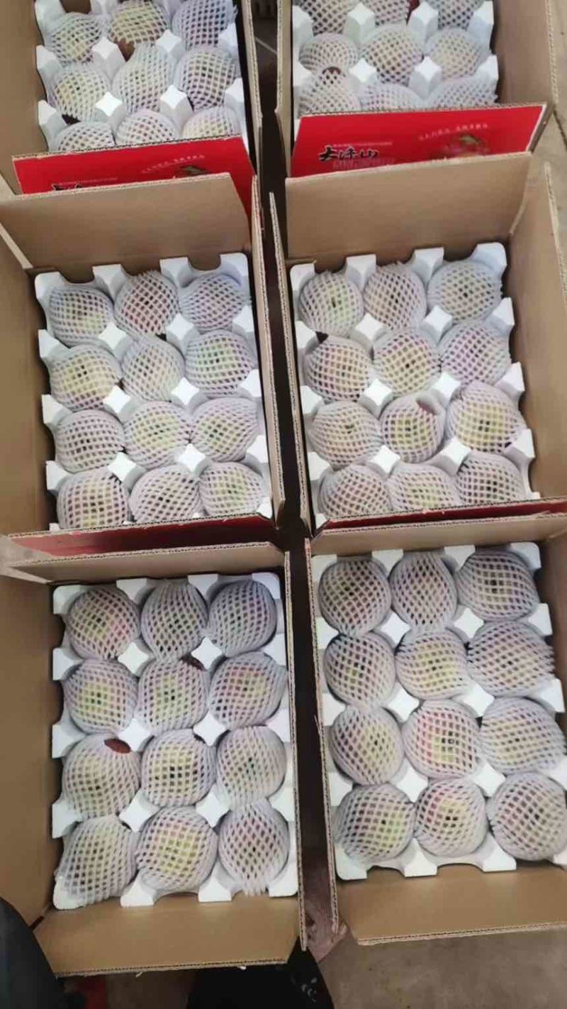 大凉山盐源糖心丑苹果