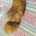 老母鸡鸡宝