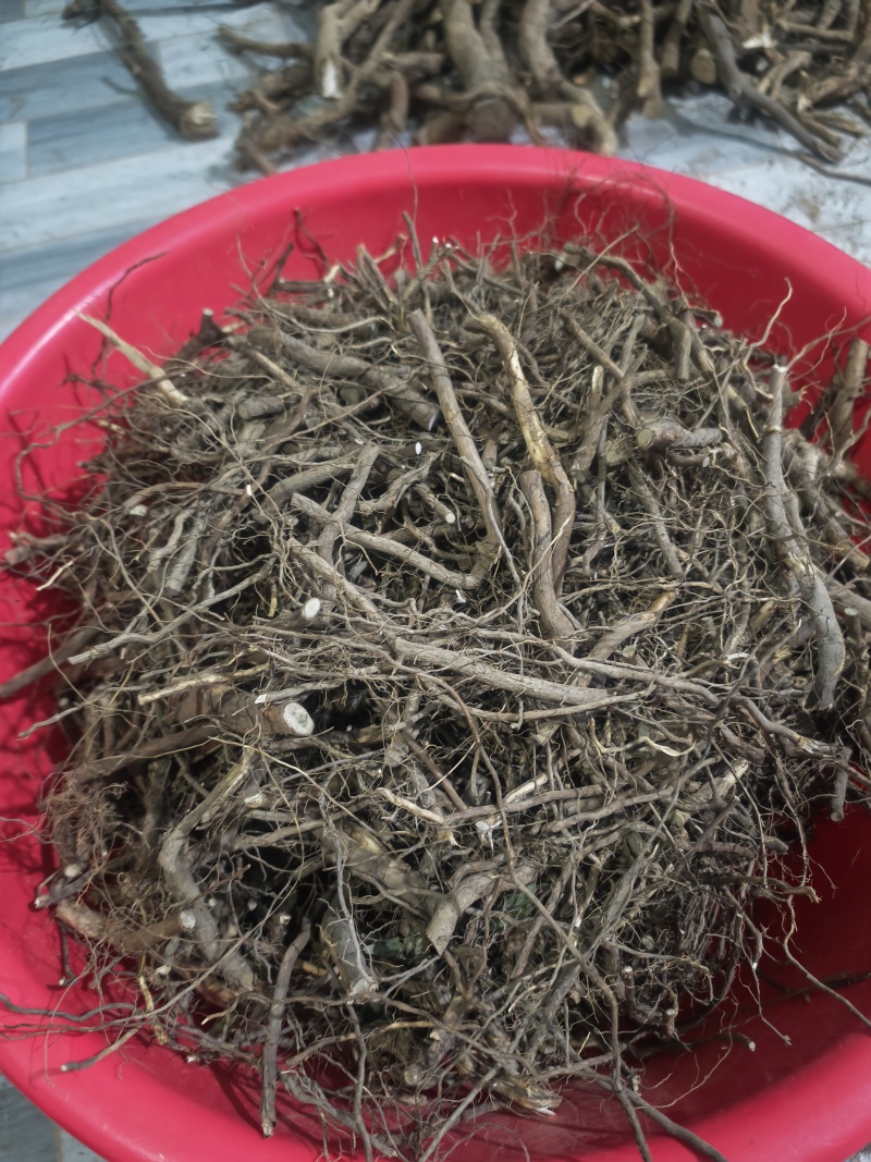 木姜子根