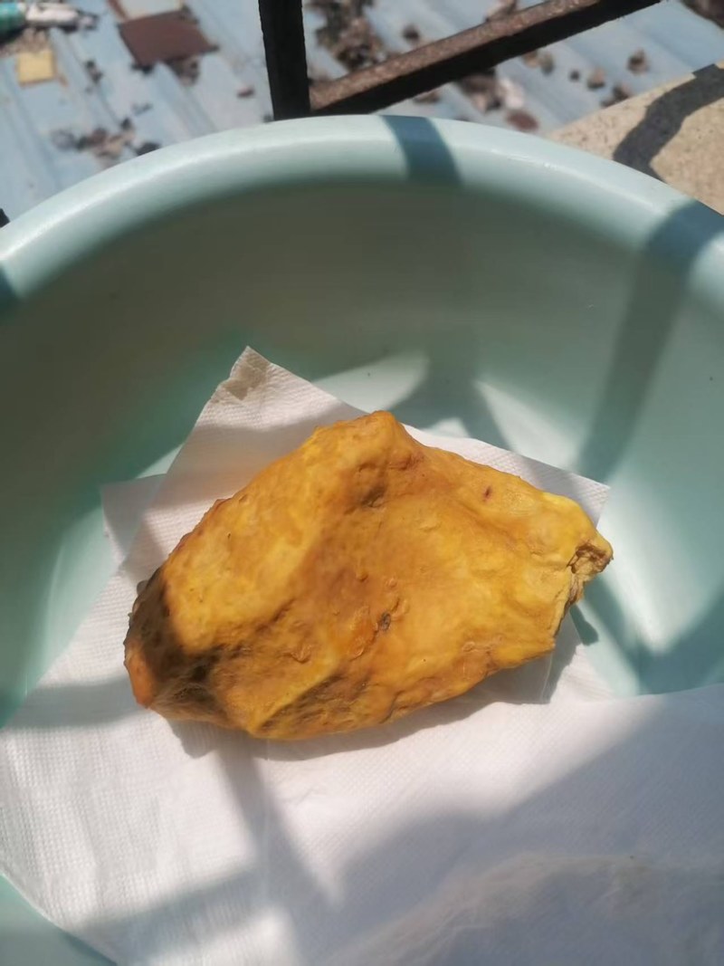 鸡公里面的鸡宝