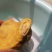 鸡公里面的鸡宝