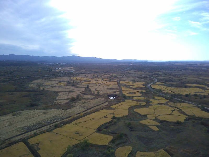 黑龙江大米，响水石板大米