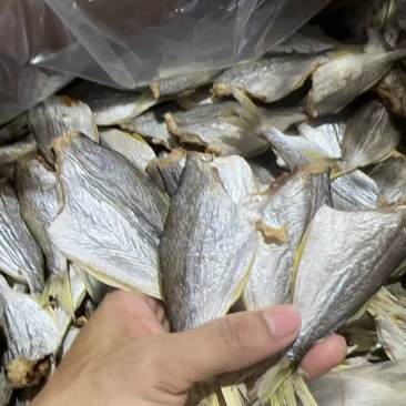 划鱼干画鱼干精品自家晒场多种鱼干规格水产干货大小可预约