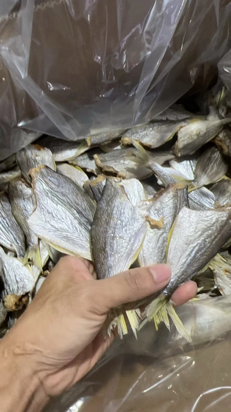 划鱼干画鱼干精品自家晒场多种鱼干规格水产干货大小可预约