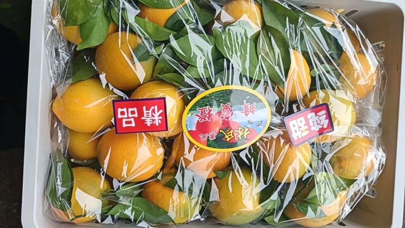 赣南脐橙蜂蜜味纯甜全规格
