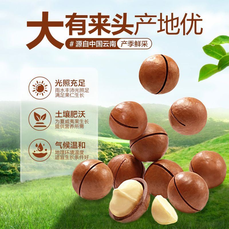 净重新货夏威夷果袋装奶油味送开壳器各大电商一件代发批量拿货