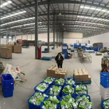 碧根果，供应链发货，颗颗饱满，量大价优，电商商超大胆来谈