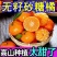 广西桂林永福砂糖橘