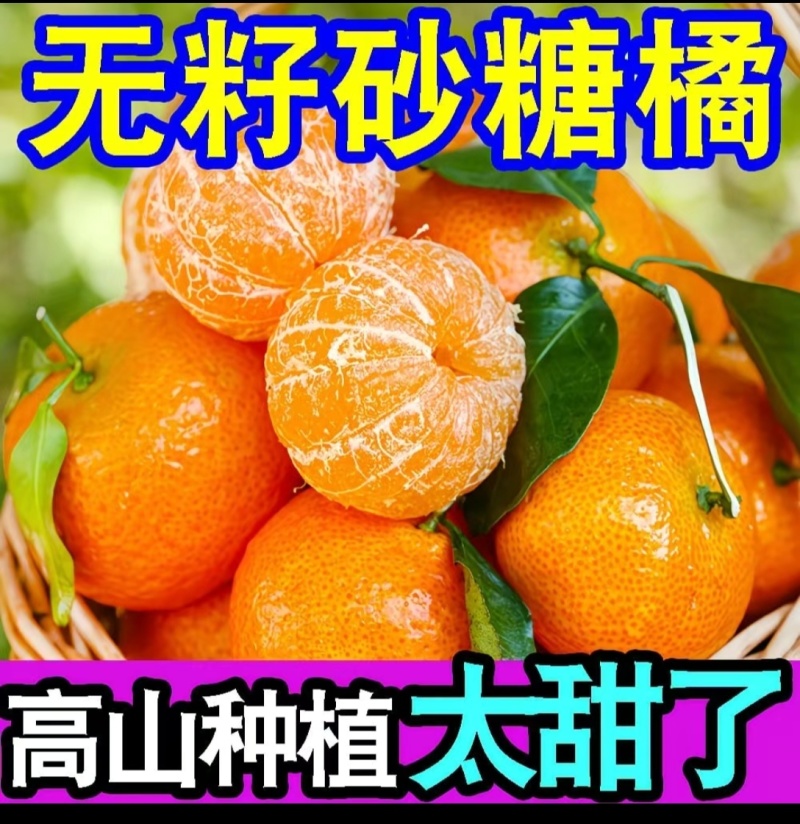 广西桂林永福砂糖橘