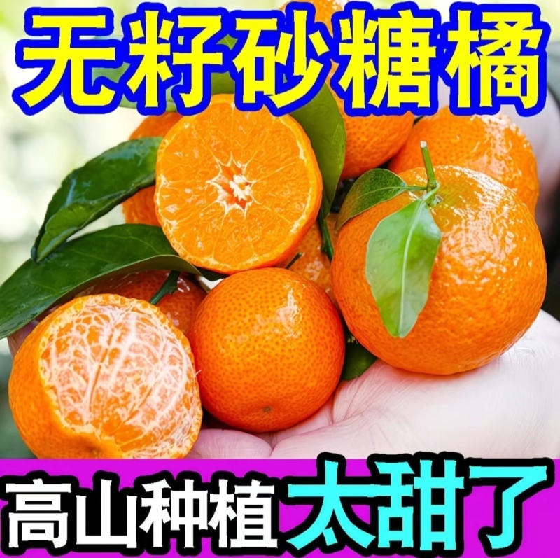 广西桂林永福砂糖橘