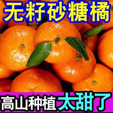 广西桂林永福砂糖橘
