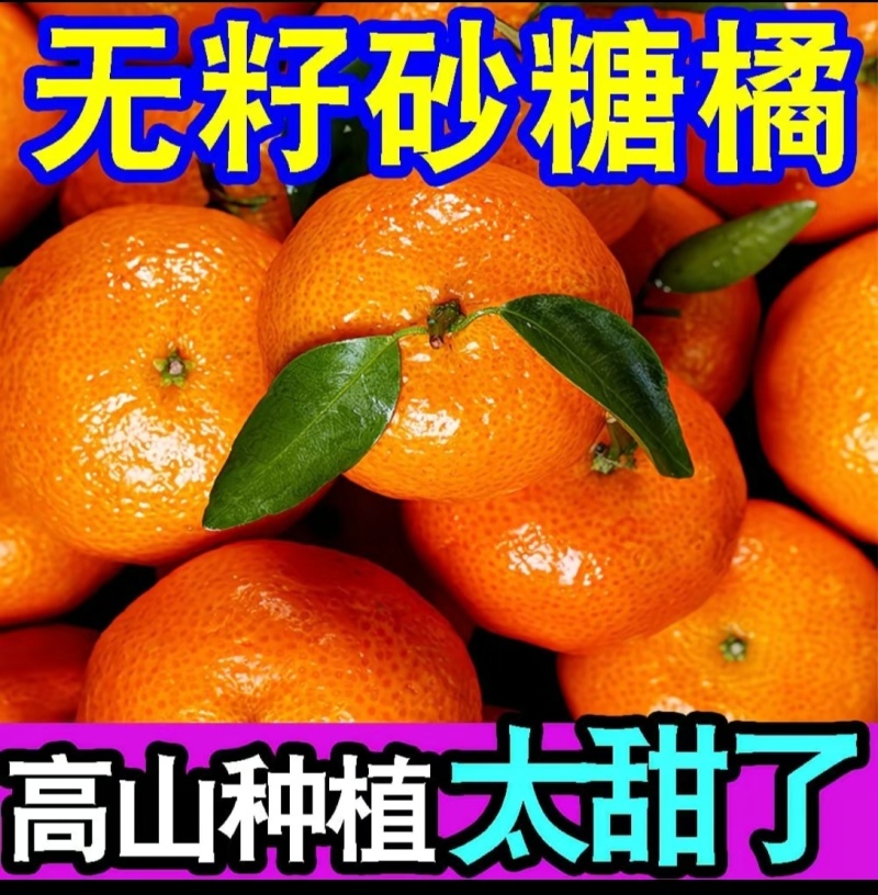广西桂林永福砂糖橘