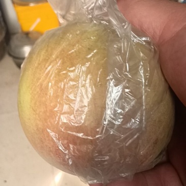苹果晚秋梨