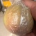苹果晚秋梨