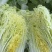 玲珑黄大白菜