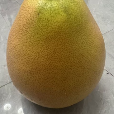 矮晚红心柚