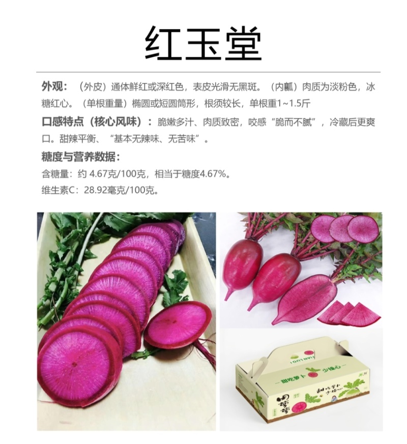 宁夏萝卜