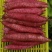 秦薯5号，大量有货，我200多亩红薯，