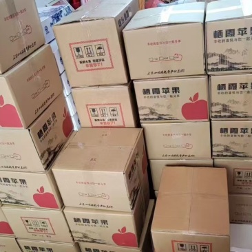 山东烟台栖霞红富士苹果