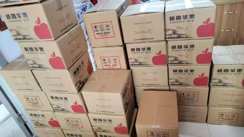 山东烟台栖霞红富士苹果