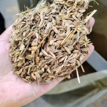 稻壳瘪壳现货价美出湖南长沙衡阳邵阳江西广西广东湖北贵州福建