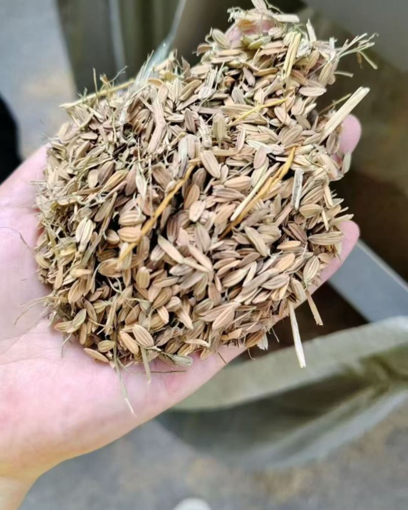 稻壳瘪壳现货价美出湖南长沙衡阳邵阳江西广西广东湖北贵州福建