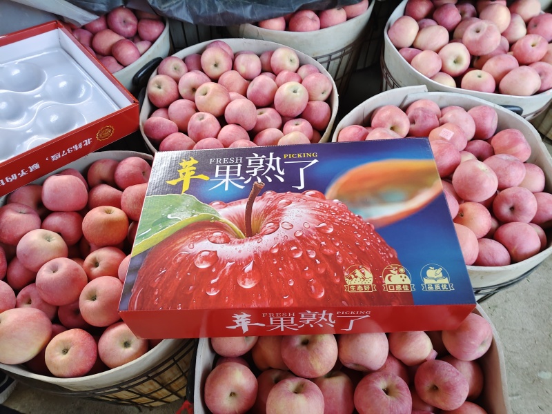 烟台栖霞红富士苹果80#