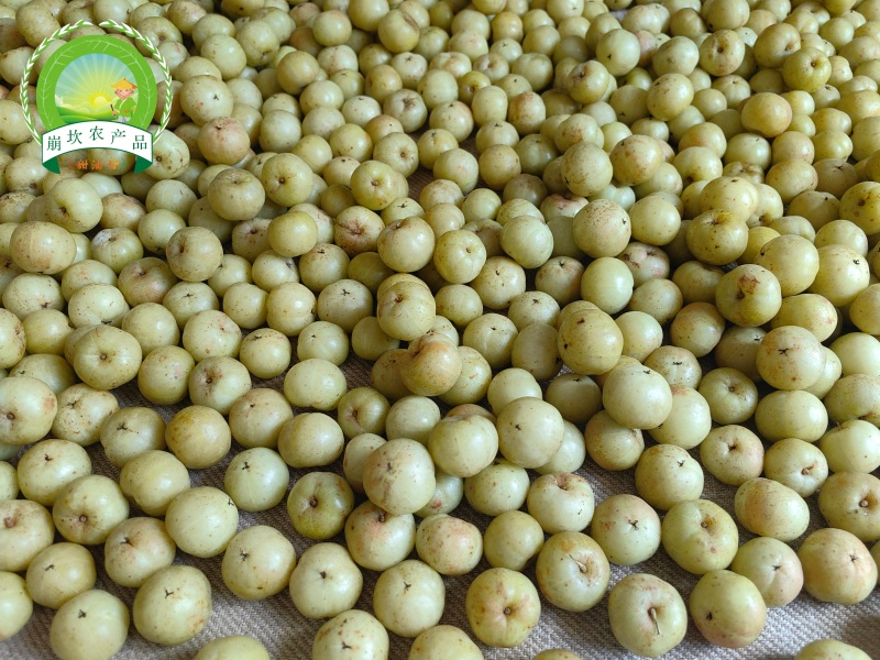 崩坎甜油甘（柿饼甜油甘）
