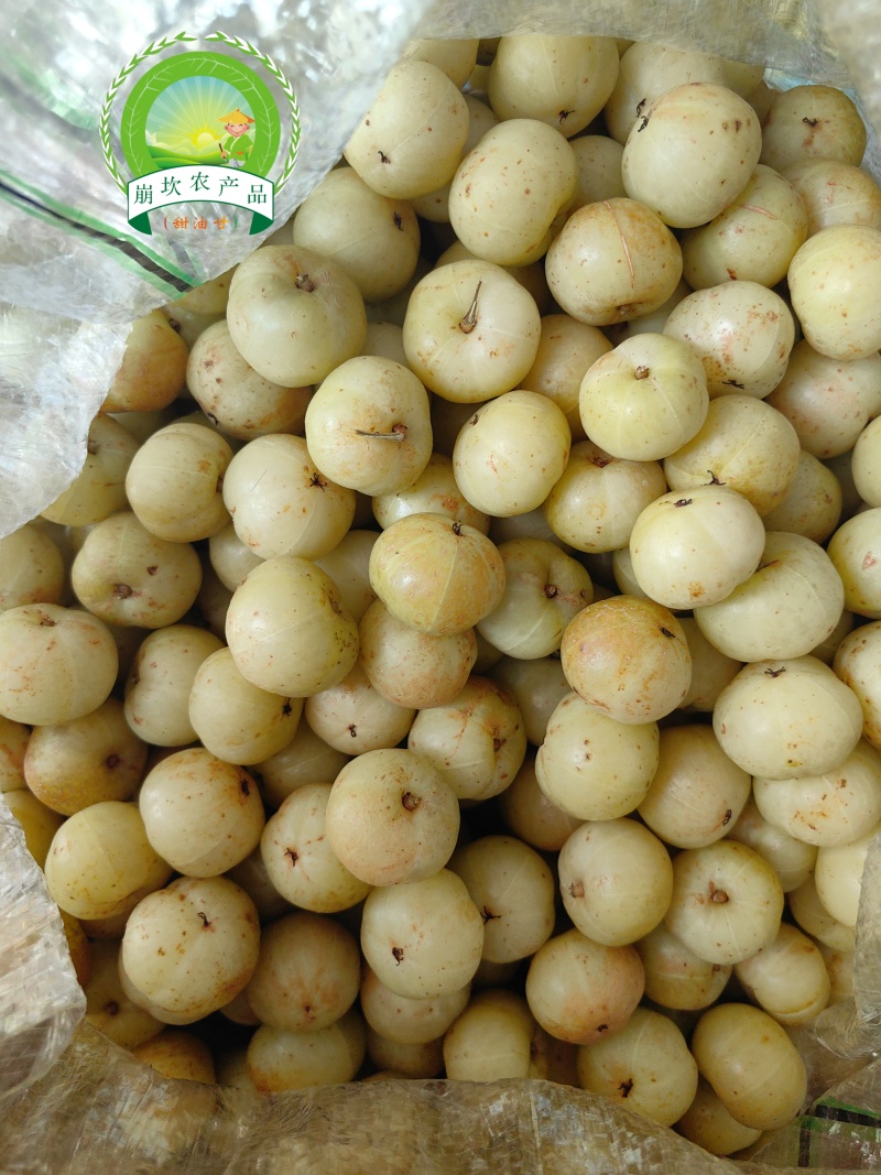 崩坎甜油甘（柿饼甜油甘）