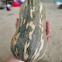 南瓜