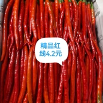 重庆辣椒