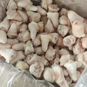 肥猪丁尾山东厂家直销质量保证价格便宜