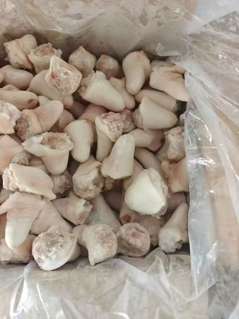 肥猪丁尾山东厂家直销质量保证价格便宜