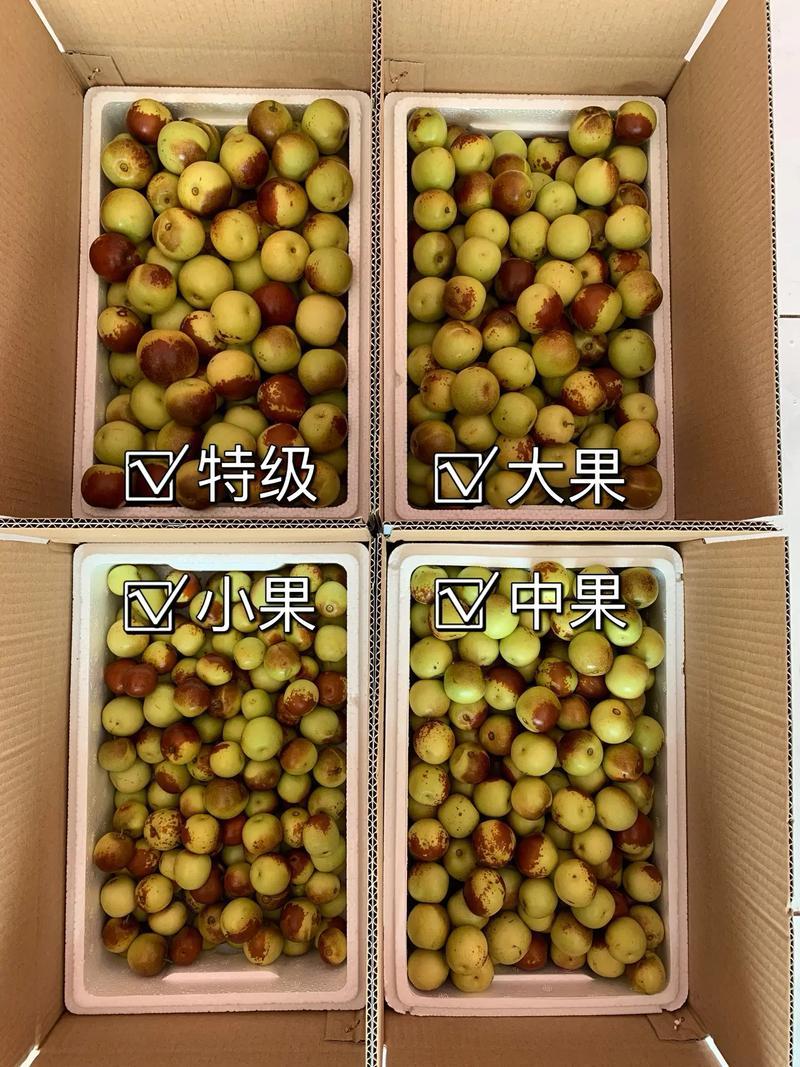 冷库冬枣10万斤支持全渠道合作代发欢迎老板们对接！