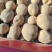 土豆低价低价，有货