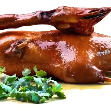 卤鹅，盐焗鸡，酱板鸭，酱板鹅，卤鸽，盐焗鸽，腊肠，腊肉