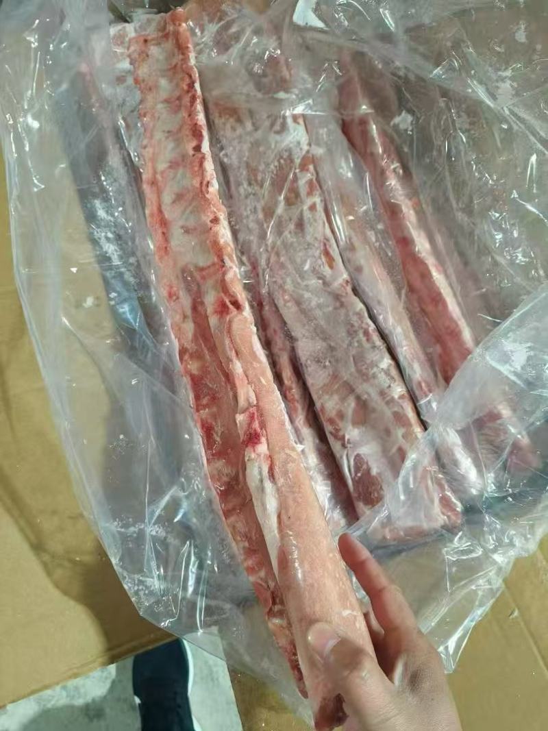 龙骨