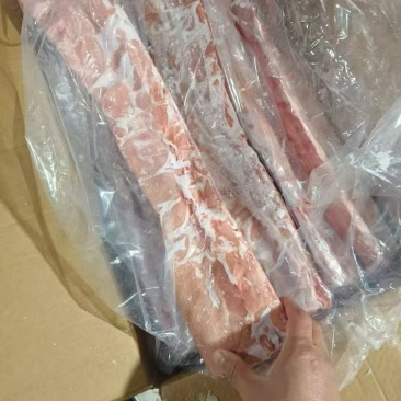龙骨